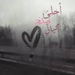 تحميل روايه احلى صدفه بحياتي كامله pdf