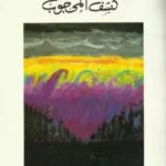 تحميل كتاب الحقائق وكشف المحجوب لفريد الأنصاري بصيغة PDF مجانا