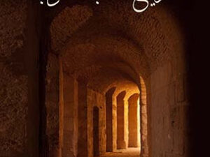 تحميل كتاب تاريخ آداب العرب لمصطفى صادق الرافعي بصيغة PDF مجانا