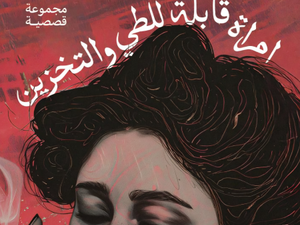 تحميل كتاب امرأة قابلة للطي والتخزين PDF آية الباز مجانا