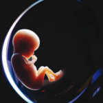 تحميل كتاب الرحم الاصطناعي PDF جمال سند السويدي مجانا برابط مباشر