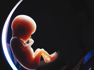 تحميل كتاب الرحم الاصطناعي PDF جمال سند السويدي مجانا برابط مباشر