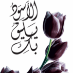 تحميل كتاب الأسود يليق بك لأحلام مستغانمي بصيغة PDF مجانا