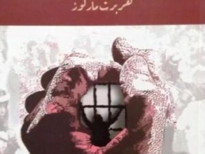 تحميل كتاب فلسفة العنف والسلطة عند هربرت ماركوز لعبد الغاني بو السكك بصيغة PDF مجانا