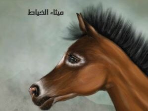 تحميل كتاب طوفان لميثاء الخياط بصيغة PDF مجانا