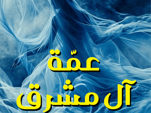 تحميل كتاب عمة آل مشرق لأميمة الخميس بصيغة PDF مجانا